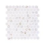 Hex Ecostones