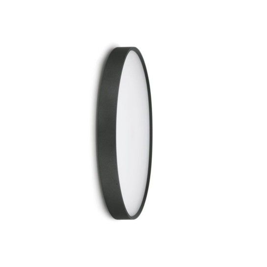 LED Ola