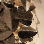 Rectangular McQueen Mirror