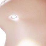 Cama MR Bunny Cama MR Bunny